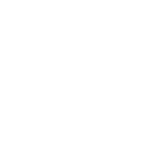 Blockchain Development Service